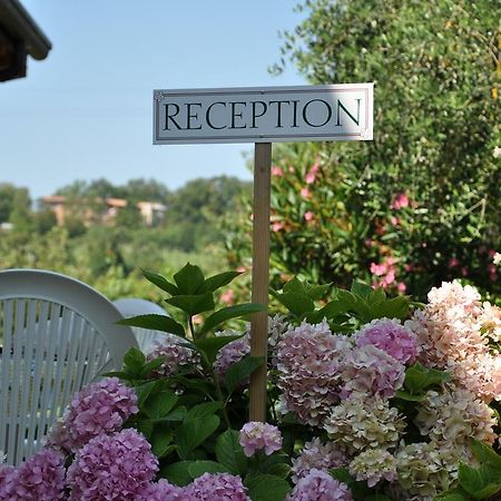 Agriturismo Ai Ciliegi Bardolino Exterior photo