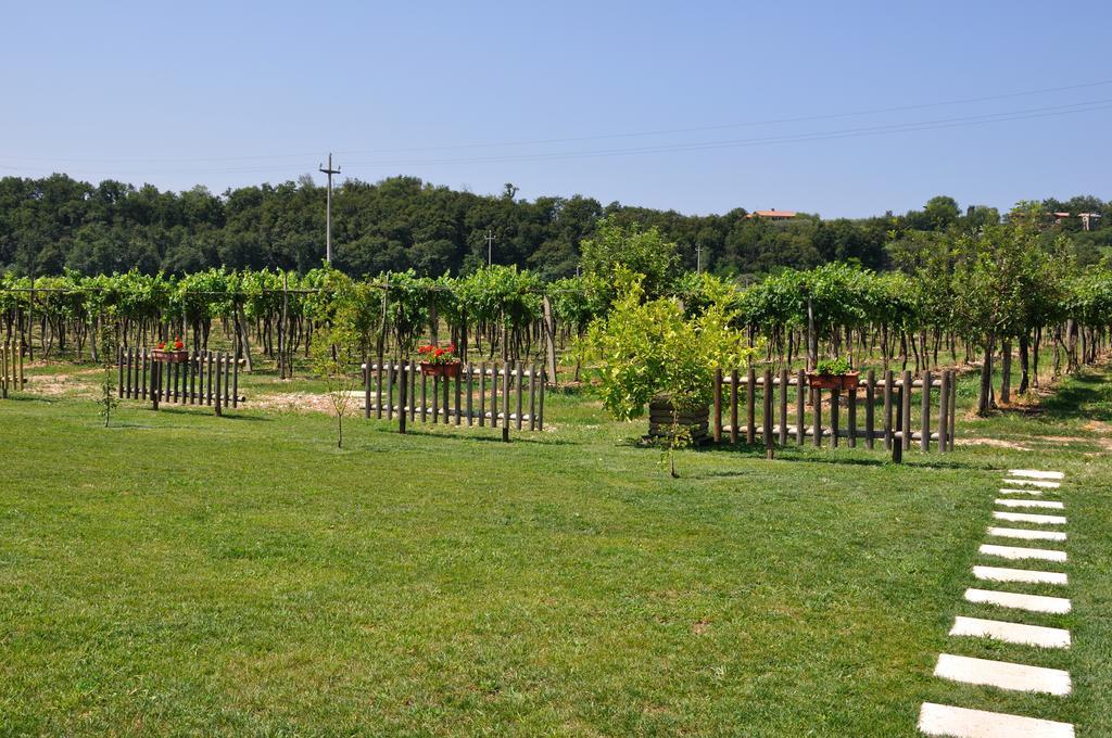 Agriturismo Ai Ciliegi Bardolino Exterior photo